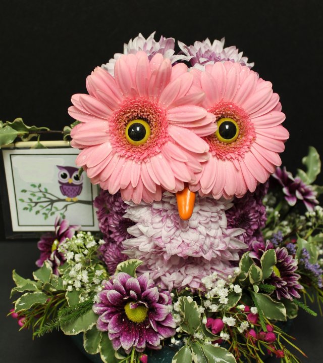 image-622511-owl10a.w640.jpg